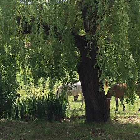 Les Gites D'Eliane Laragne Dış mekan fotoğraf